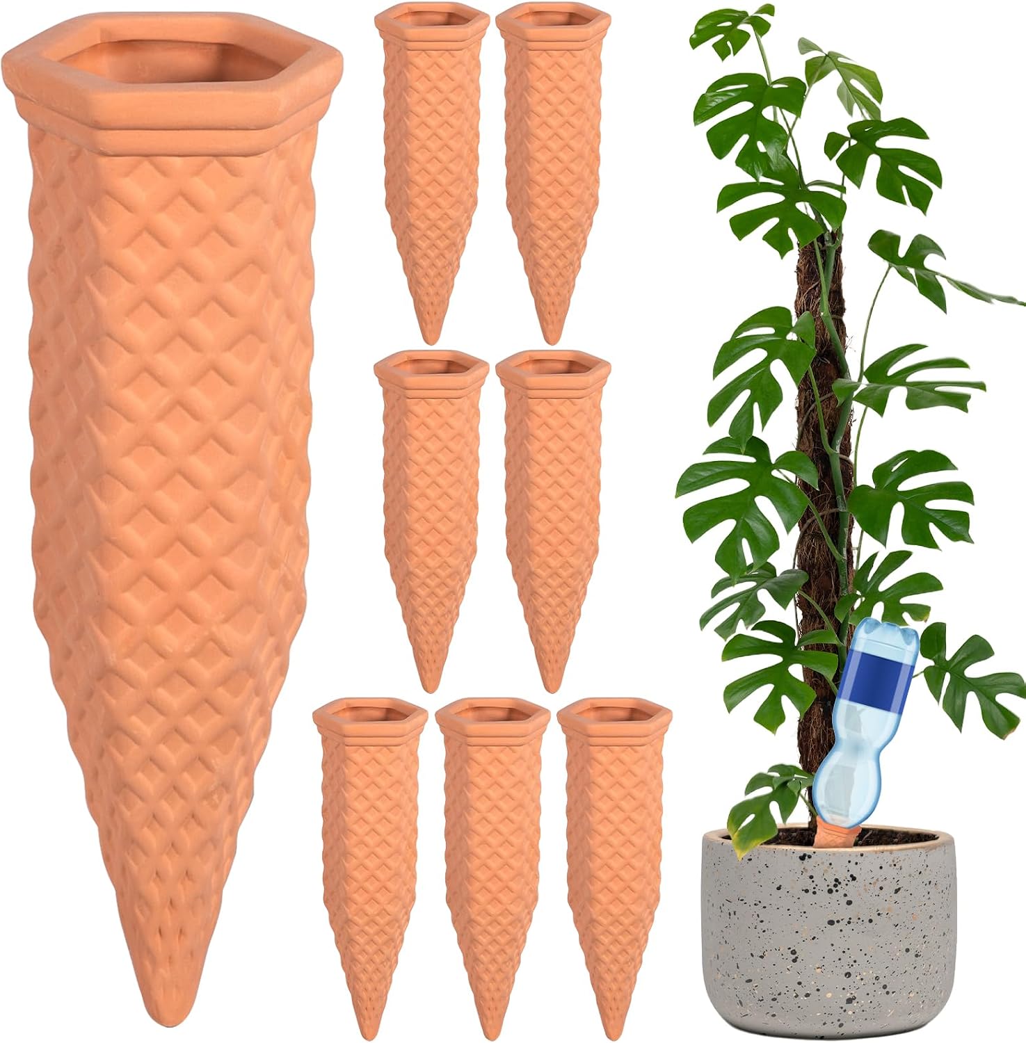 Dispositif d'arrosage pour plantes — Lot de 8