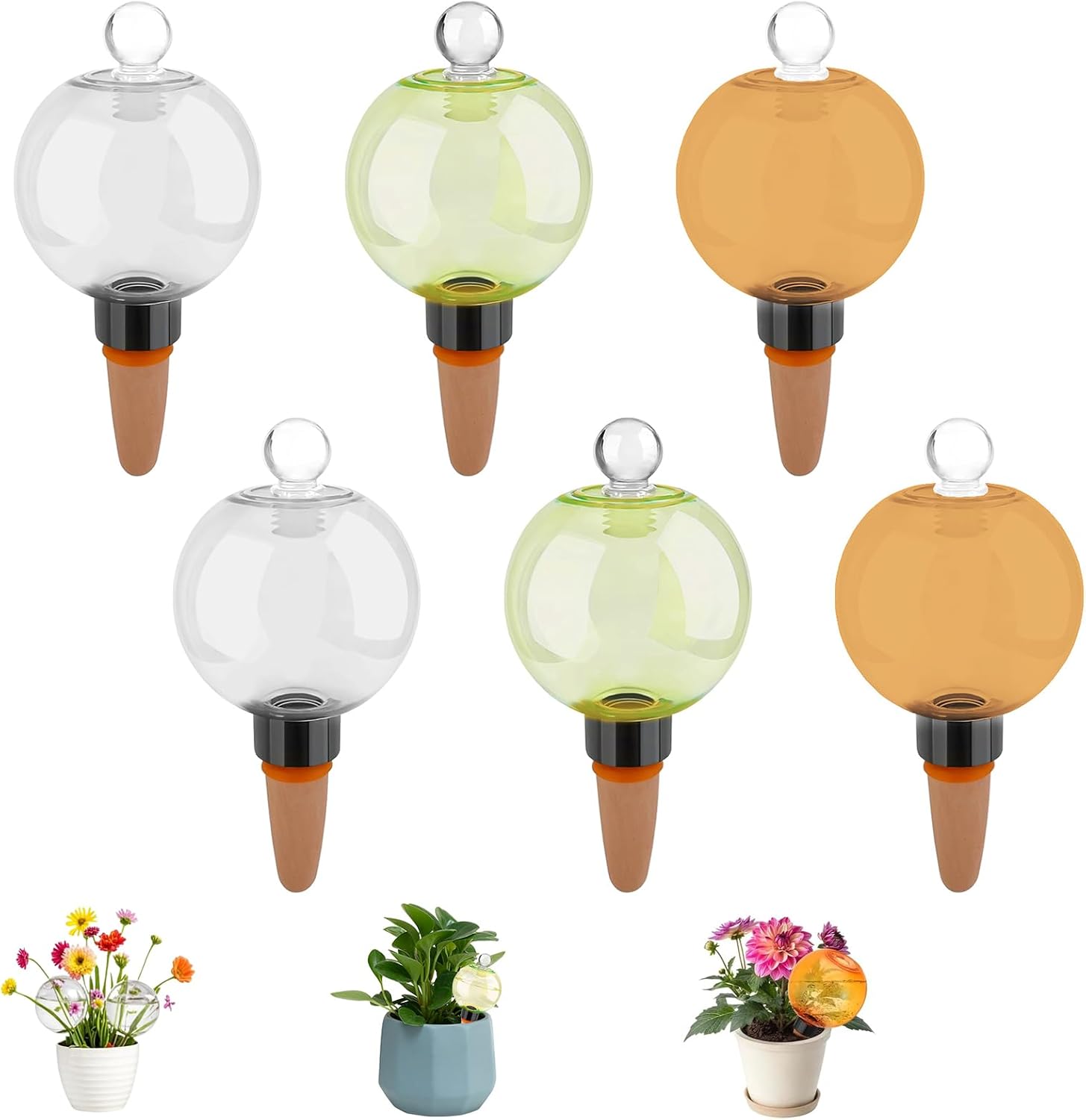Dispositif d'arrosage pour plantes: Lot de 6, 500 ml